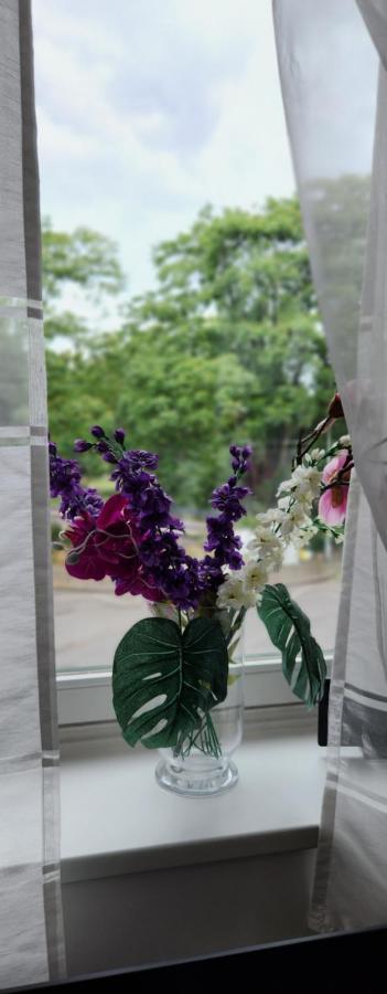 Elena Flat Orchidee Duisburg Zentrum Eksteriør billede